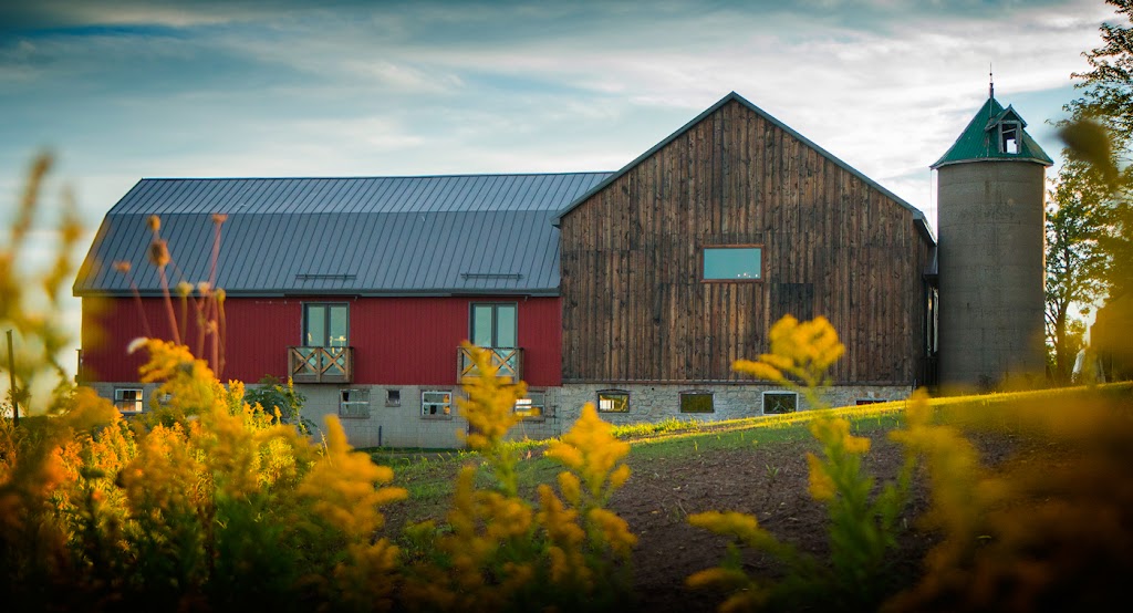 Earth to Table: The Farm | 250 Concession 4 W, Millgrove, ON L8B 1J3, Canada | Phone: (905) 648-1828