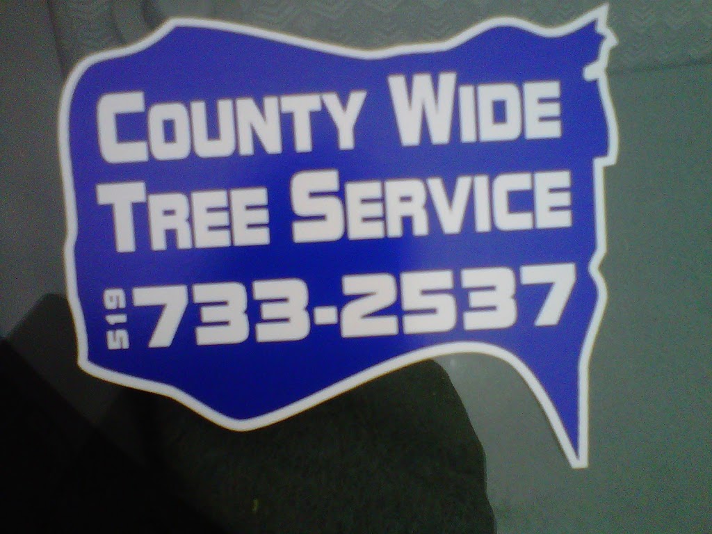 County Wide Tree Service | 1175 Arner Townline, Kingsville, ON N9Y 2E6, Canada | Phone: (519) 733-2537