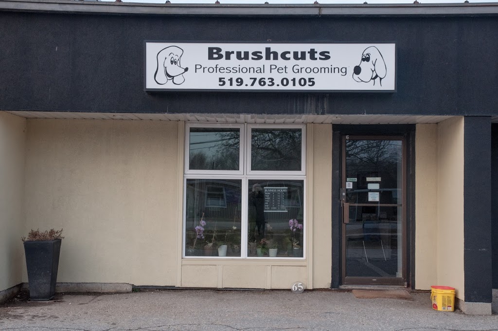 Brushcuts Professional Pet Grooming | 65 Dawson Rd, Guelph, ON N1H 1B1, Canada | Phone: (519) 763-0105