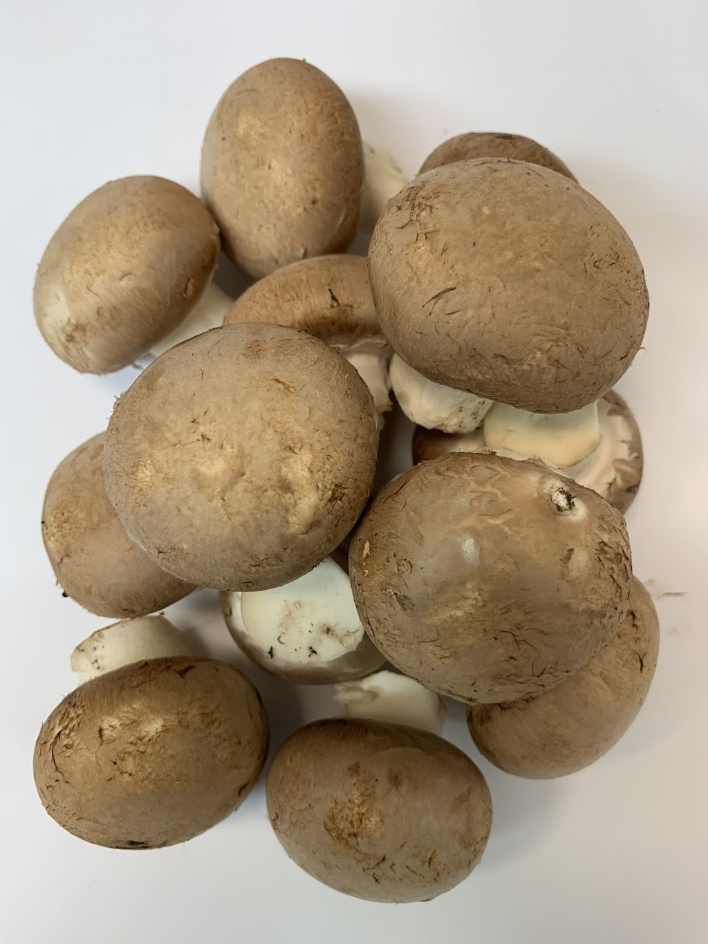 Unionville Mushroms far | 5395 19th Ave, Markham, ON L3P 3J3, Canada | Phone: (905) 640-2892