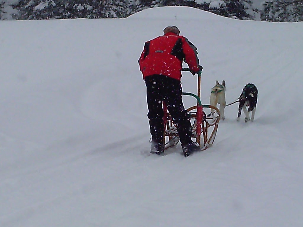 Escapade Canin Laurentides/Outaouais | 47 Chemin du Chenail du Moine, Lac-des-Plages, QC J0T 1K0, Canada | Phone: (819) 430-6627