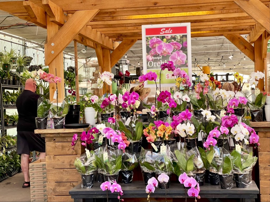 Harris Nurseryland | 6508 Ladner Trunk Rd, Delta, BC V4K 3N3, Canada | Phone: (604) 946-5986