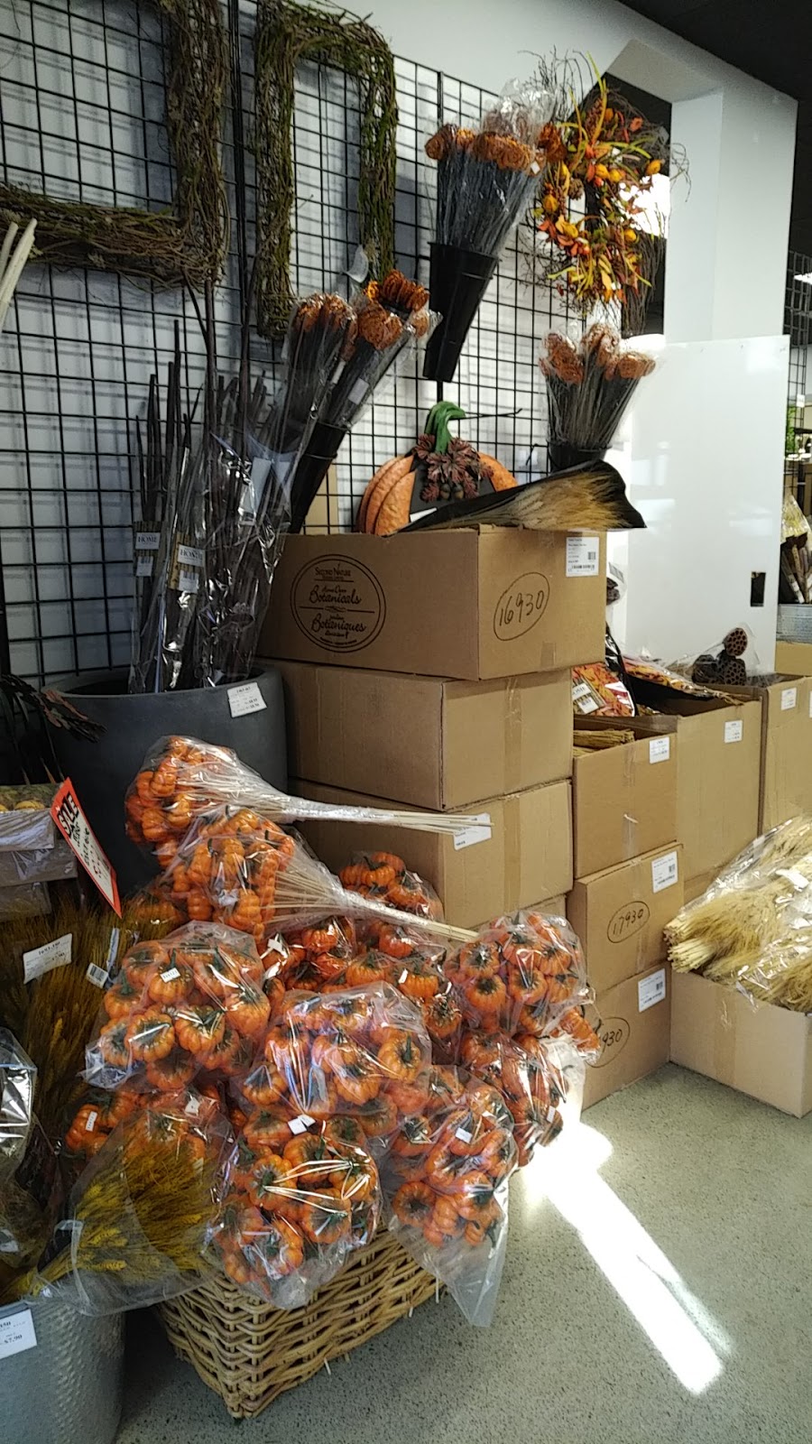 UFG Floral Supplies | 4085 Marine Way, Burnaby, BC V5J 5E2, Canada | Phone: (604) 430-0001