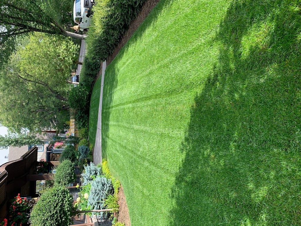 Calgary Best Lawn Care | 57 Ave SW, Calgary, AB T2V 0H4, Canada | Phone: (587) 969-5296