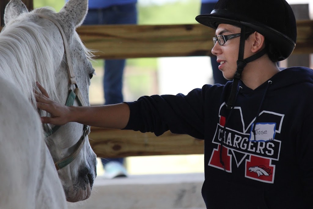 Foundations Skills Development & Equine Centre | 70047 RR 19-4C, Stirling, AB T0K 2E0, Canada | Phone: (403) 795-1008