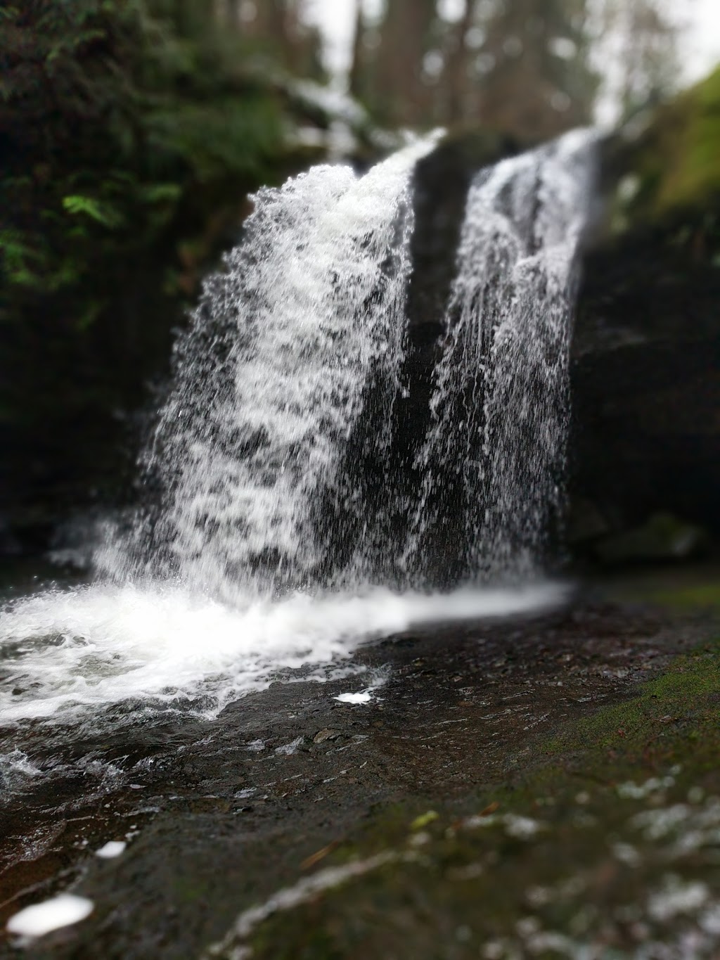 Stocking Creek Waterfall | Stocking Creek Trail, Ladysmith, BC V9G 2A4, Canada