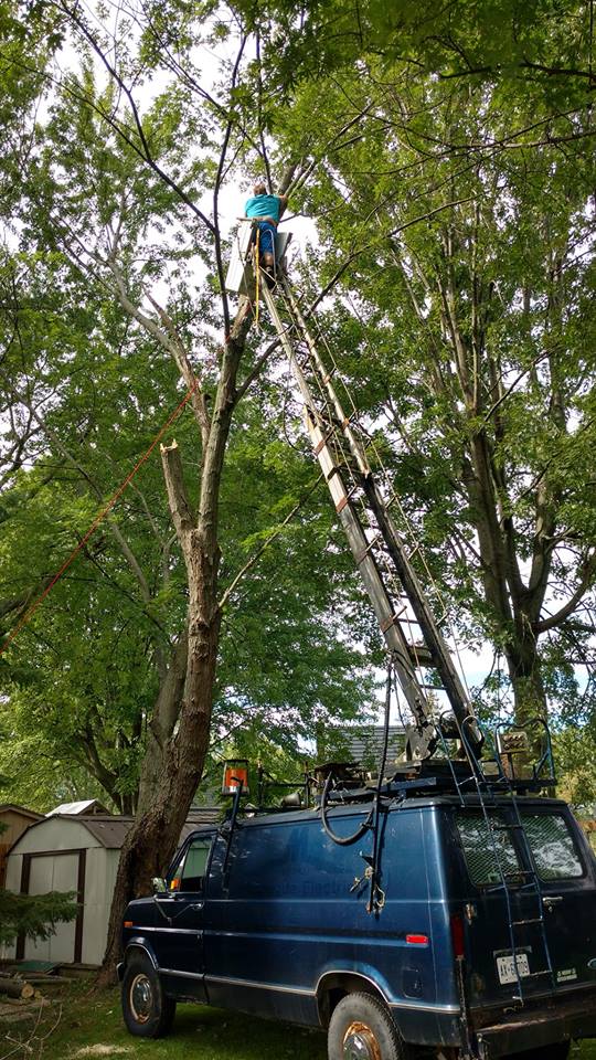 Rons tree service | 1700 Chatham Rd, Fort Erie, ON L2A 5M4, Canada | Phone: (289) 213-6186