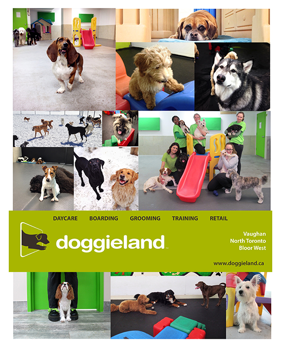 Doggieland | 9796 Dufferin St, Maple, ON L6A 1S2, Canada | Phone: (905) 832-8700