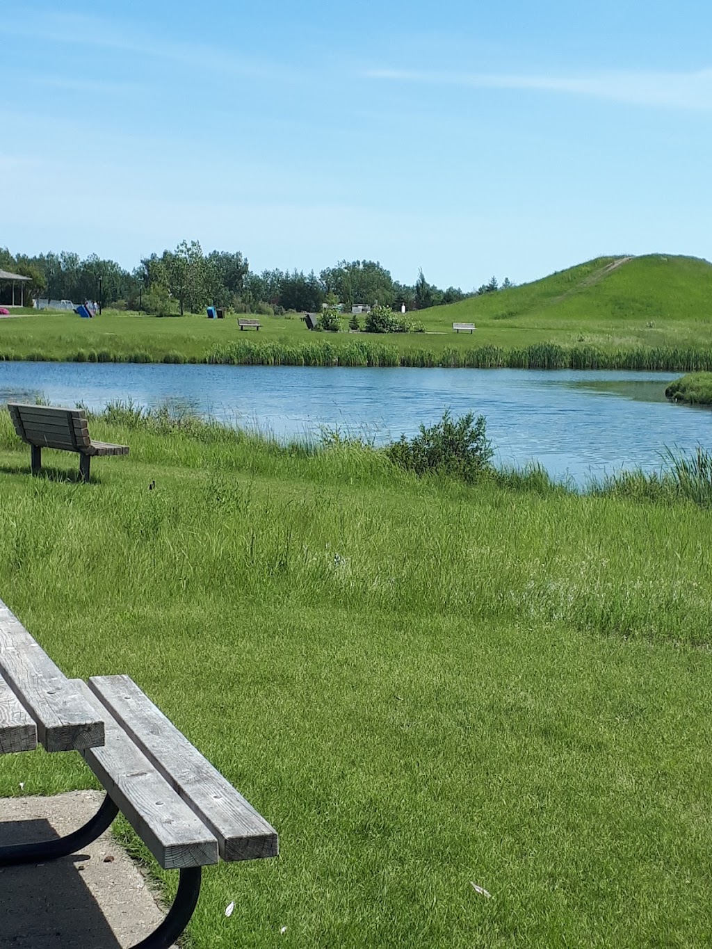 West Stettler Park | Stettler, AB T0C 2L2, Canada | Phone: (403) 742-8305