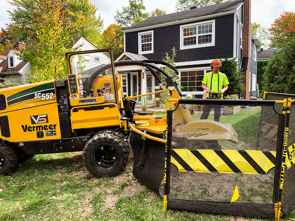 VS Tree Services | 4886 Bank St, Gloucester, ON K1X 1G7, Canada | Phone: (613) 774-5296