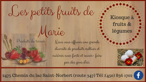 Les petits fruits de Marie | 2475 Chemin du Lac, Saint-Norbert, QC J0K 3C0, Canada | Phone: (450) 836-1702