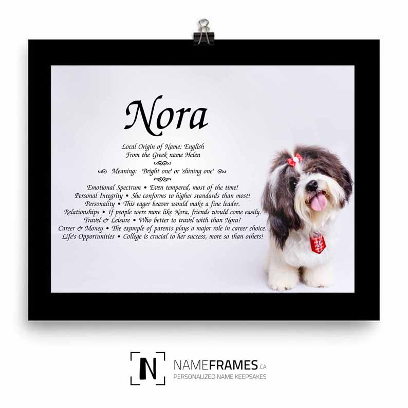 NameFrames.ca | town center, Mississauga, ON L5M 2E3, Canada | Phone: (902) 802-9287