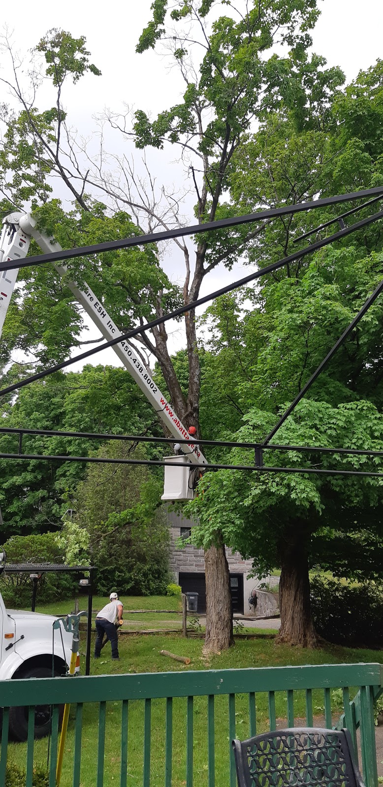 Arboriculture Esh Inc | 896 Rue Lamontagne, Saint-Jérôme, QC J5L 1V2, Canada | Phone: (450) 438-8002