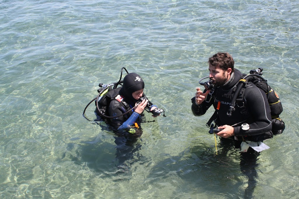 Georgian Bay Divers | 2142 Tiny Beaches Rd N, Tiny, ON L9M 0H6, Canada | Phone: (647) 328-9941