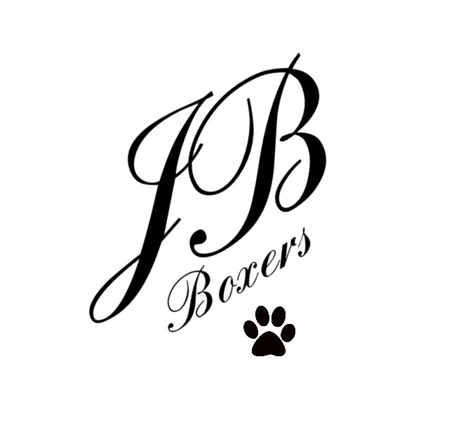 JBboxerpups | Old Mill St, Clarington, ON L0A 1E0, Canada | Phone: (905) 809-9495