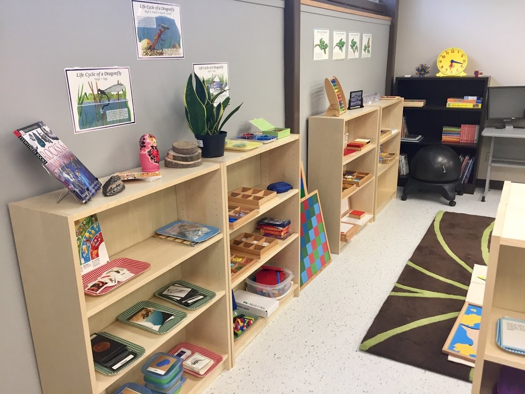 One Forest Montessori School | 3328 King St E, Kitchener, ON N2A 1B3, Canada | Phone: (519) 804-3132