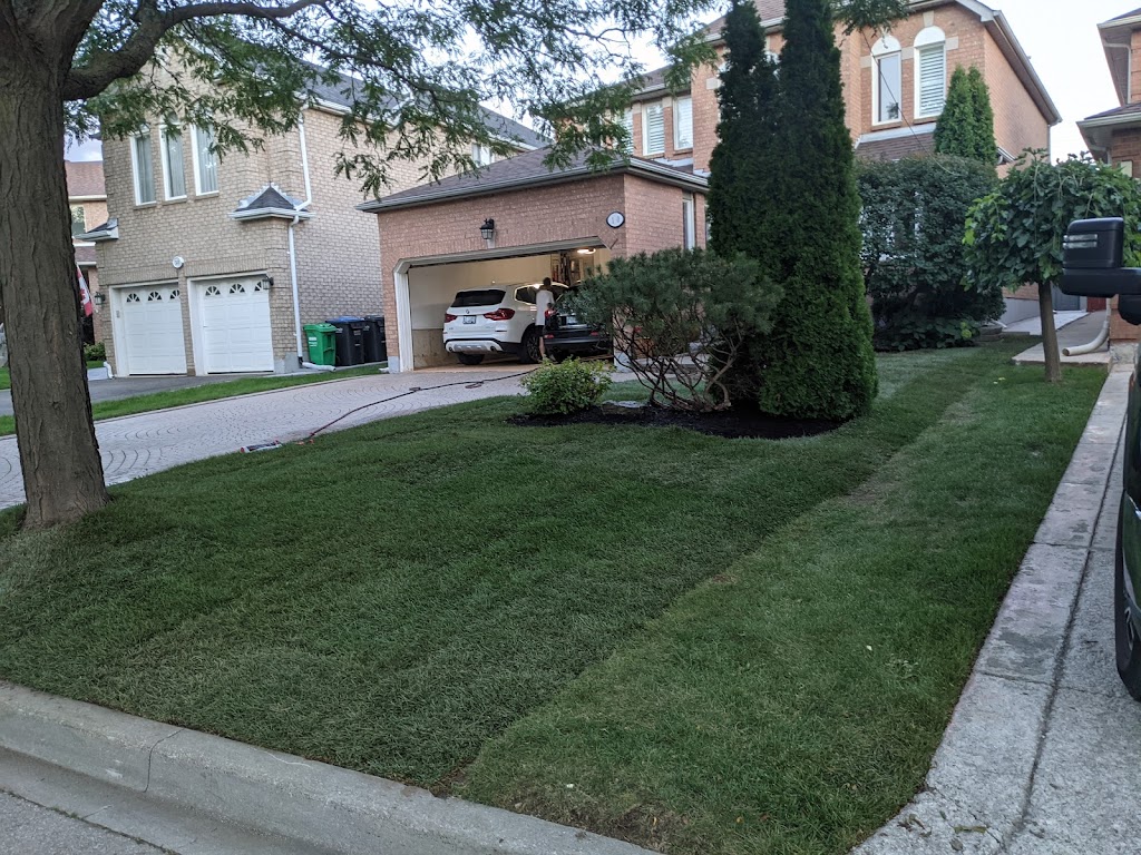 Mr.Sod | 2585 Drew Rd Unit 3, Mississauga, ON L4T 1G1, Canada | Phone: (416) 704-6007