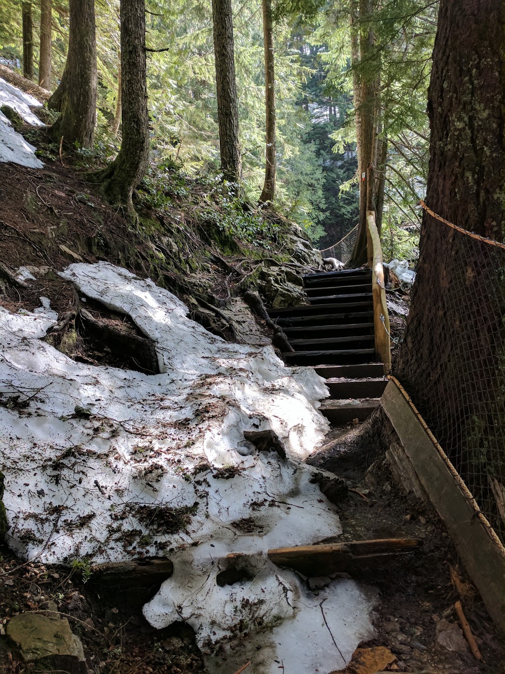 Flint & Feather Trail | North Vancouver, BC V7R 4K9, Canada