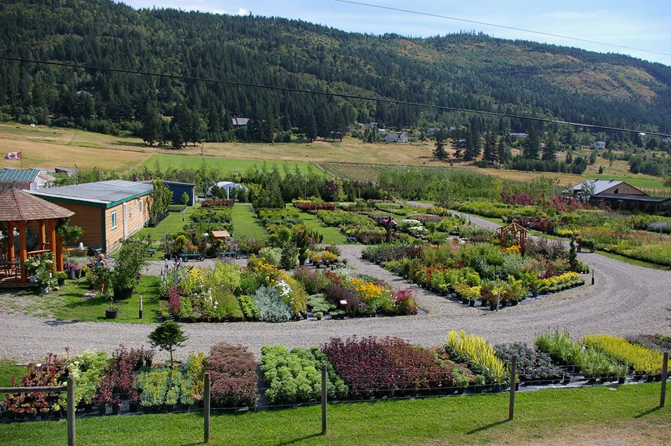 Coldstream Willows Nursery | 6800 Learmouth Rd, Coldstream, BC V1B 3G9, Canada | Phone: (250) 260-3446