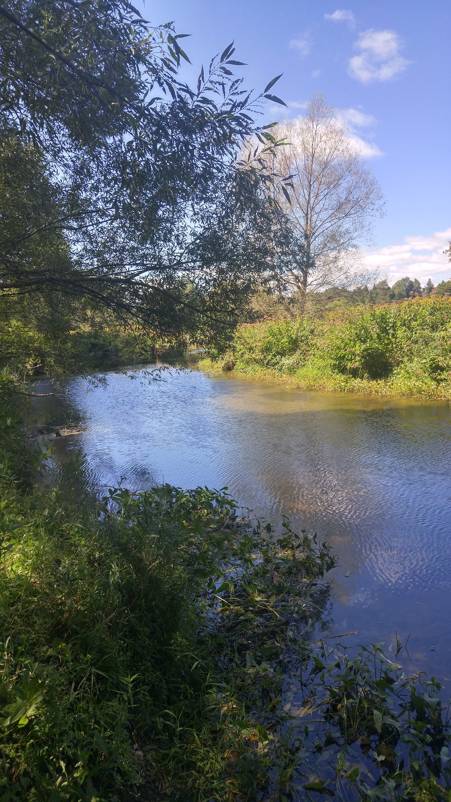 Darroch Nature Reserve | Walkerton, ON N0G 2V0, Canada | Phone: (888) 815-9575