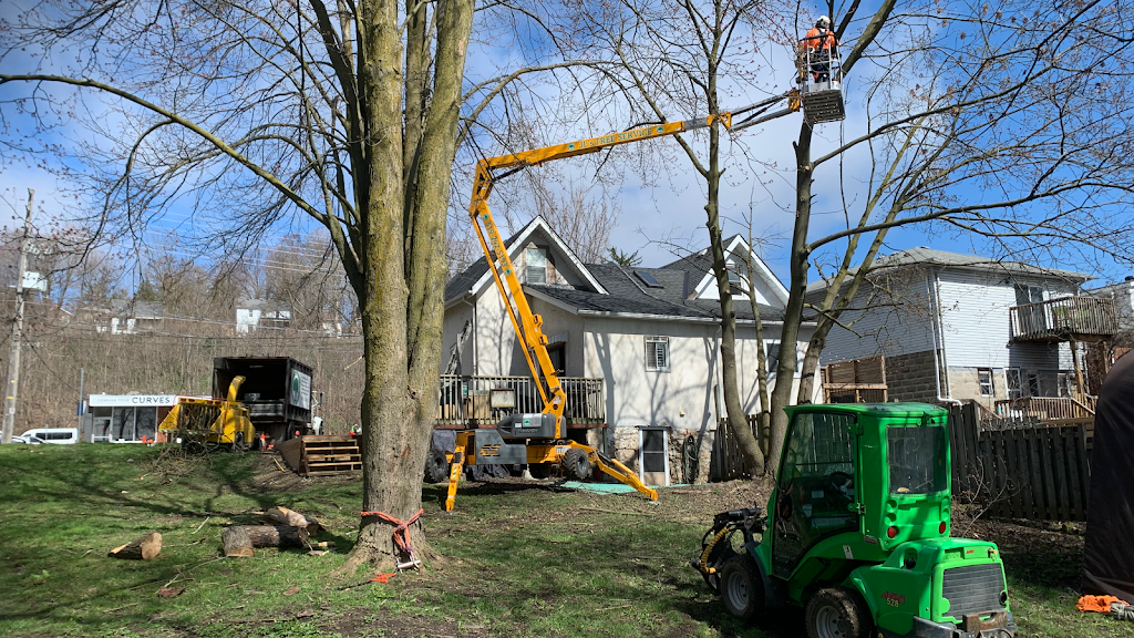 JLs Tree Service | 6149 Guelph St, Fergus, ON N1M 3E3, Canada | Phone: (519) 242-5193