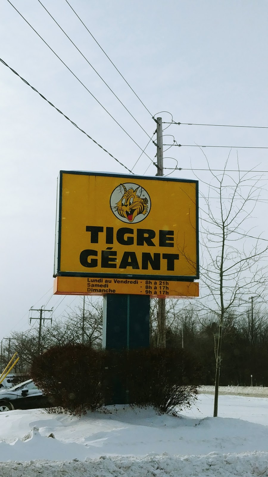 Tigre Géant | 635 Boulevard Jutras E, Victoriaville, QC G6P 7H4, Canada | Phone: (819) 758-4702