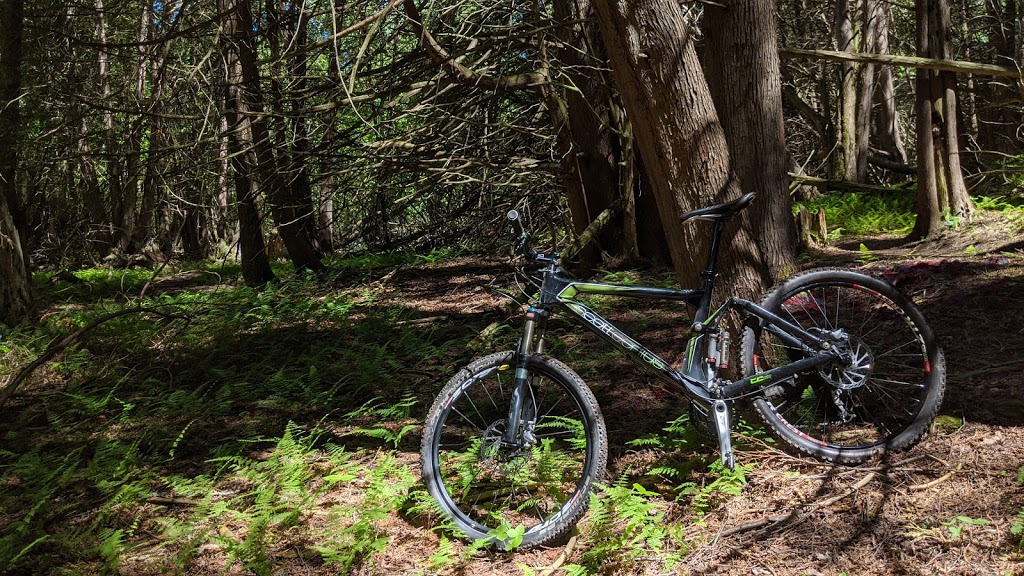 Harold Town Conservation Area Mountain Bike Trails | 2611 Old Norwood Rd, Peterborough, ON K9J 6X8, Canada | Phone: (705) 745-5791