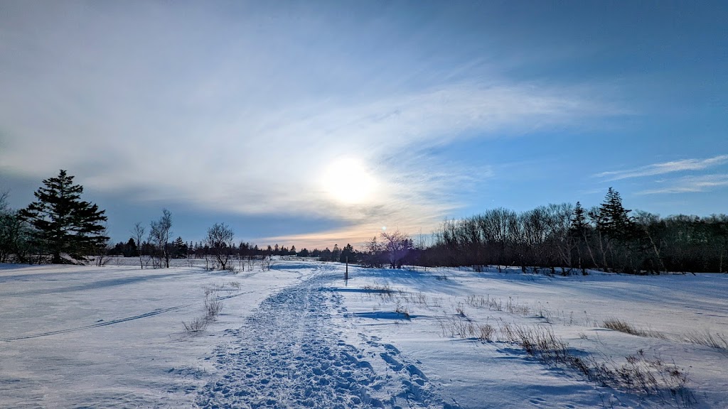 Homestead Trail, Prince Edward Island National Park | 357 Grahams Ln, Cavendish, PE C0A 1M0, Canada | Phone: (902) 672-6350