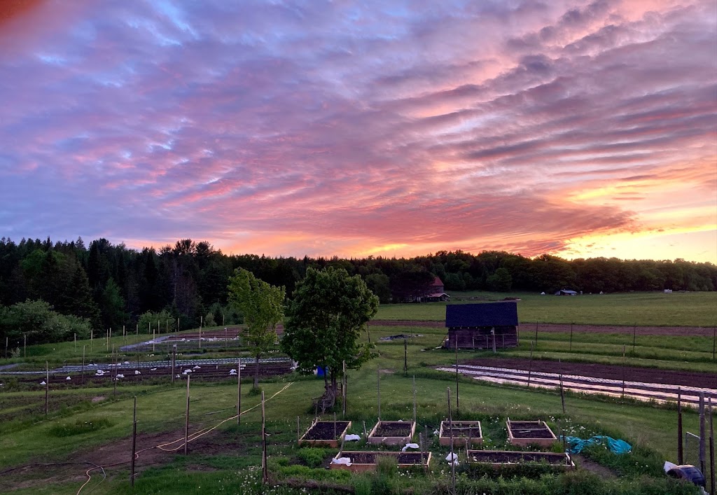 INDIGO RAIN FLOWER FARM | 725 N Mary Lake Rd, Huntsville, ON P1H 1S4, Canada | Phone: (705) 571-6674