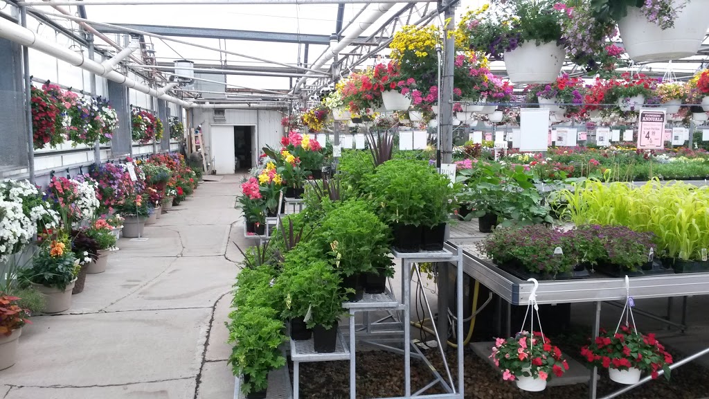 Kuhlmanns Greenhouse Garden Market | 1320 167 Ave NW, Edmonton, AB T5Y 6L6, Canada | Phone: (780) 475-7500