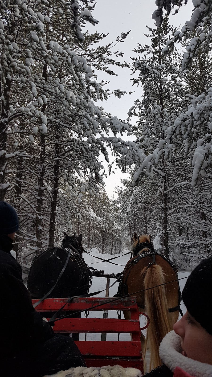 Les Écuries Entre Monts Et Marées | 645 Rang Saint Antoine, Saint-Irénée, QC G0T 1V0, Canada | Phone: (418) 452-3261