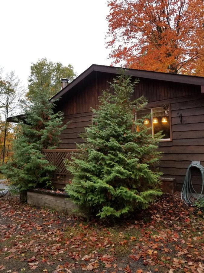 Maple Key Cabin Retreat | 2349 N Baptiste Lake Rd, Hastings Highlands, ON K0K 2S0, Canada | Phone: (905) 717-0172