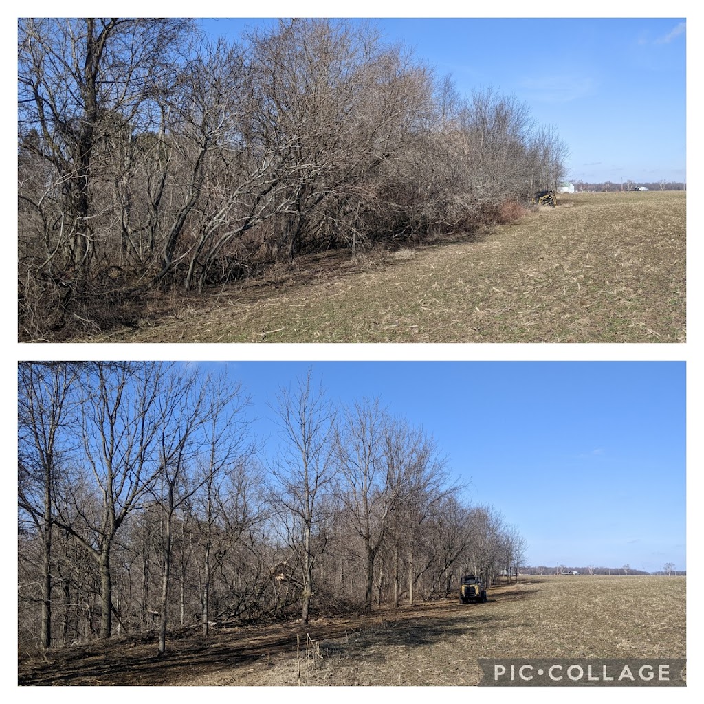 Handy Bulldozing & Brush Control | 109 Graham Rd, West Elgin, ON N0L 2P0, Canada | Phone: (613) 334-8726