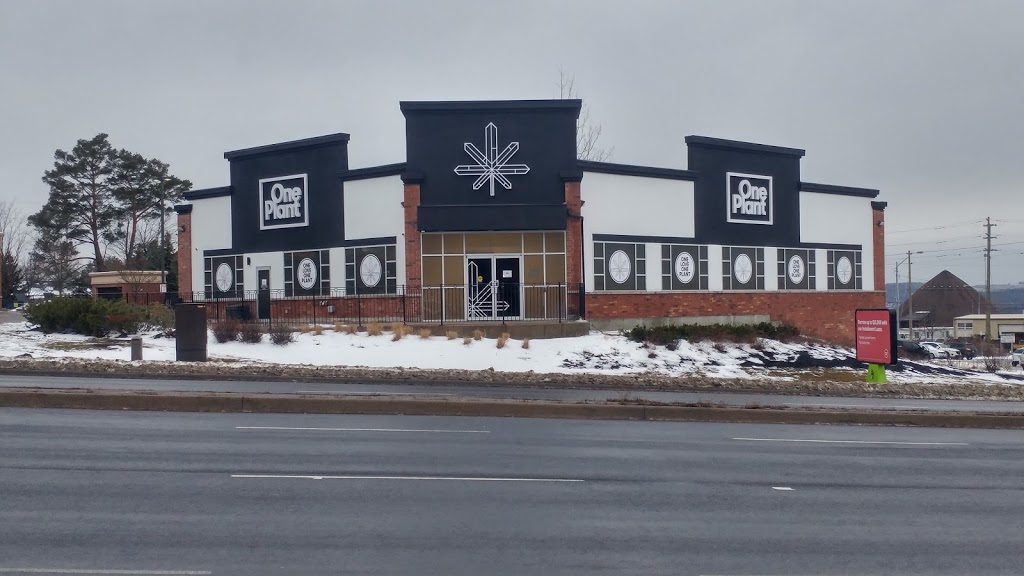 One Plant Cannabis Dispensary - Barrie (Essa Road) | 231 Essa Rd, Barrie, ON L4N 6B7, Canada | Phone: (705) 252-1768