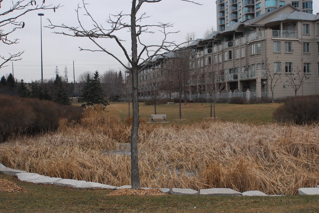 Jean Augustine Park | 2115 Lake Shore Blvd W, Etobicoke, ON M8V, Canada | Phone: (416) 338-4386