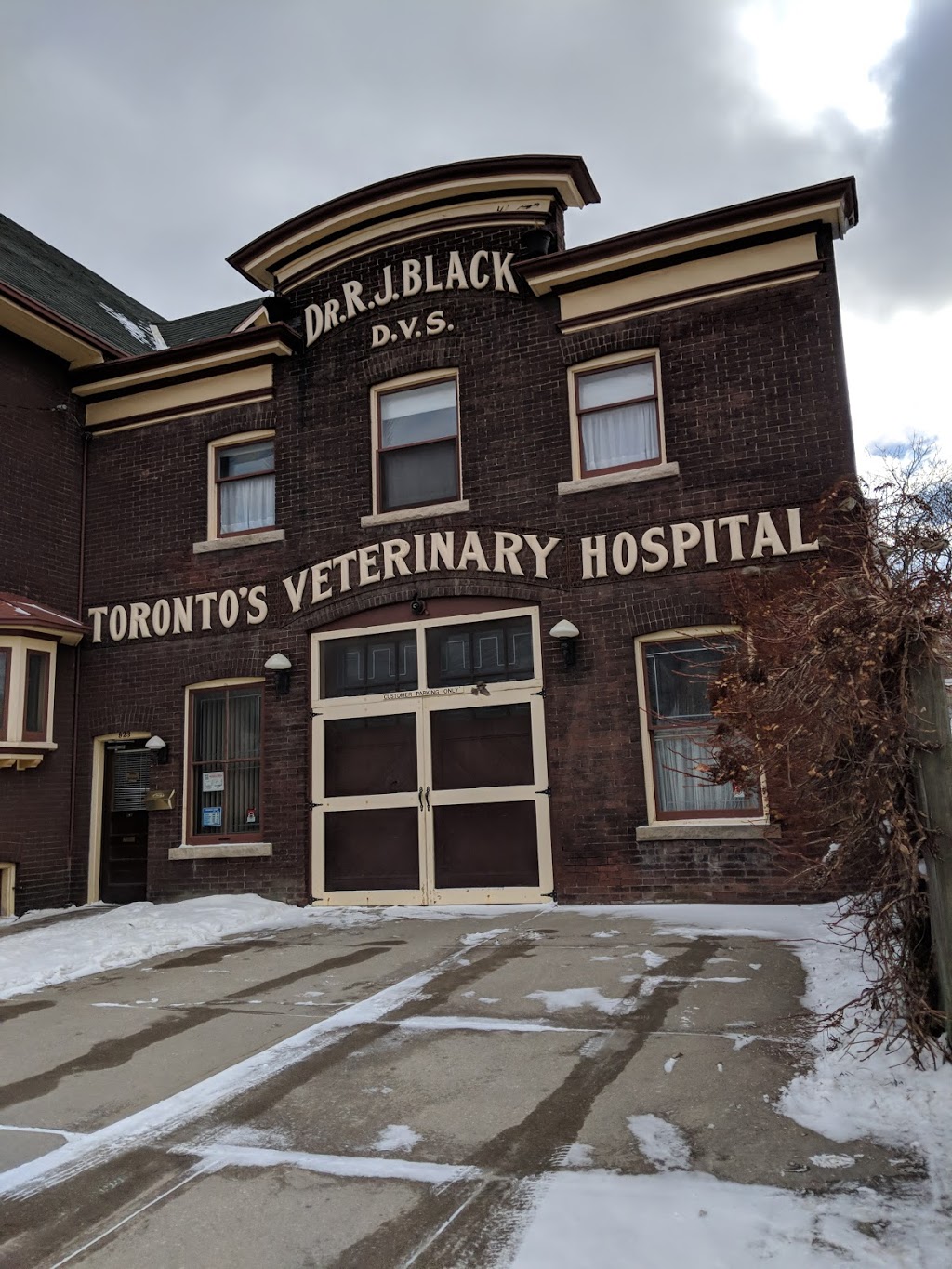 Blacks Toronto Veterinary Hospital | 923 Queen St E, Toronto, ON M4M 1J6, Canada | Phone: (416) 466-7351