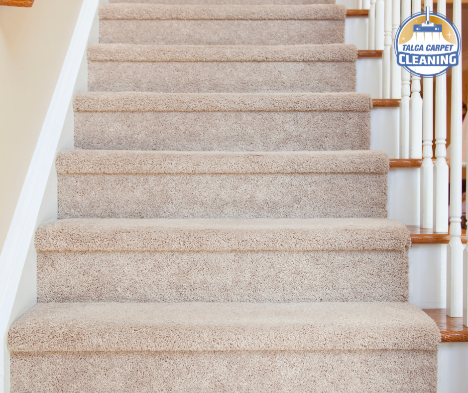 Talca Carpet Cleaning | Hunterquay Rd NW, Calgary, AB T2K 4V1, Canada | Phone: (587) 433-1080