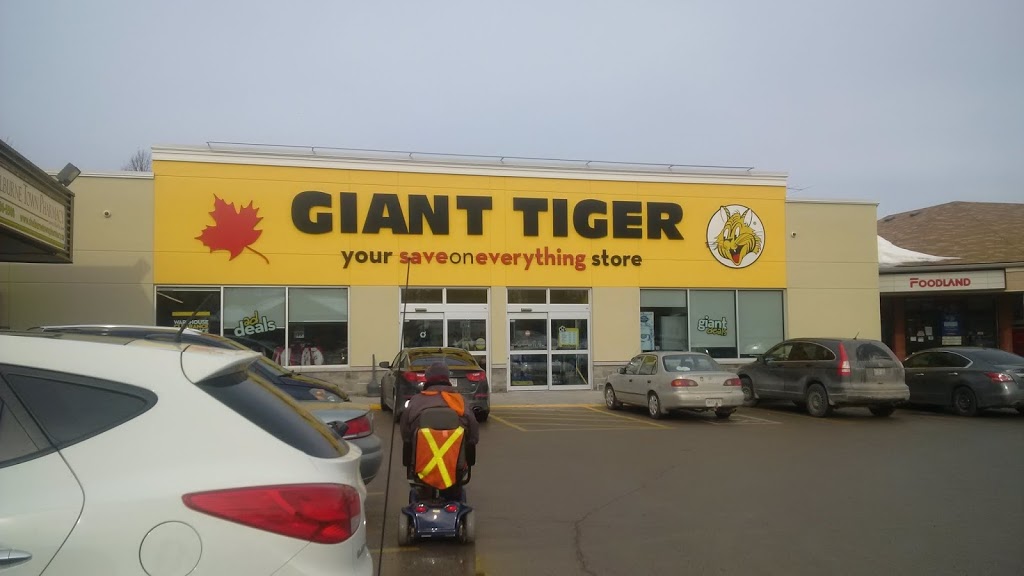 Giant Tiger | 226 First Ave E #1, Shelburne, ON L0N 1S0, Canada | Phone: (519) 925-6857