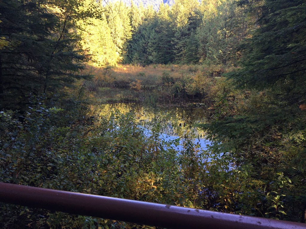 Spirea Nature Trail | Golden Ears Pkwy, Maple Ridge, BC V0M, Canada