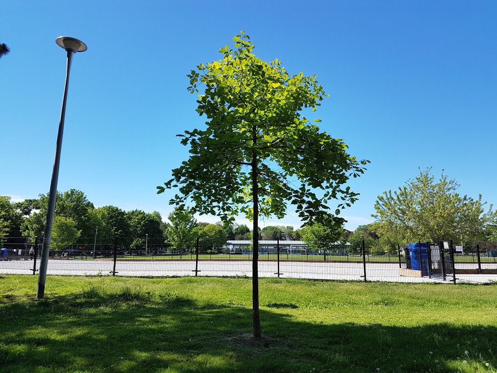 Greenwood Dog Park | Alton Ave, Toronto, ON M4L 2R1, Canada