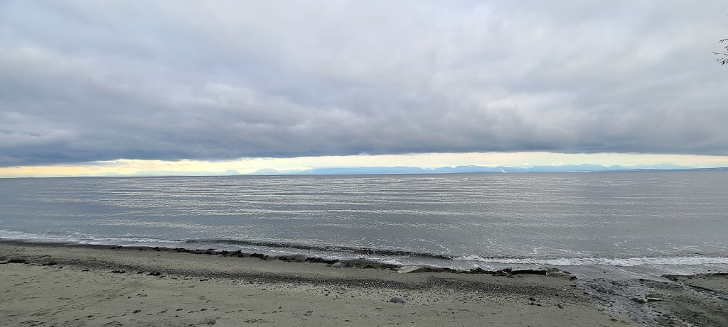 Copes Islander Oceanfront B&B | 1484 Wilkinson Rd, Comox, BC V9M 4B3, Canada | Phone: (250) 339-1038