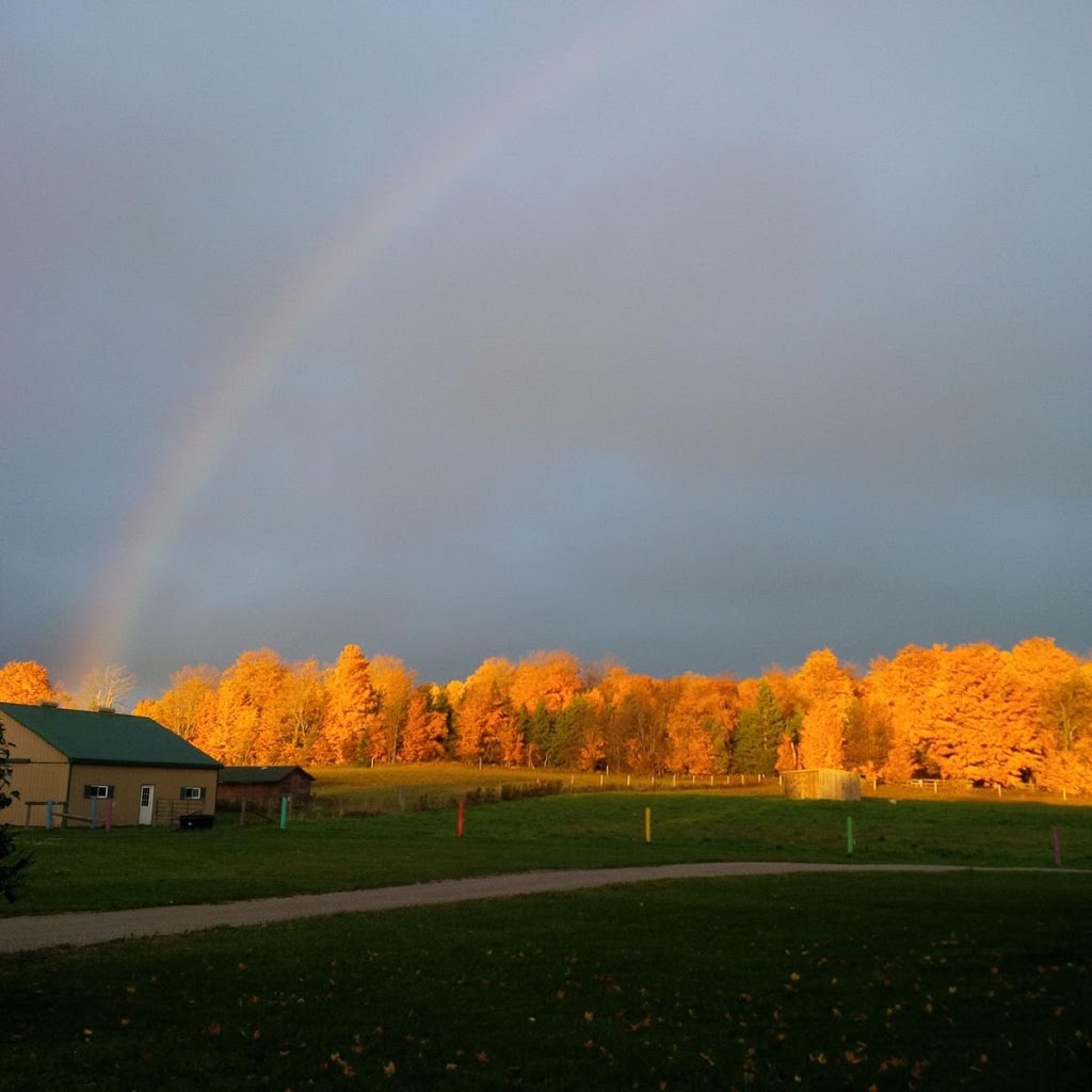 Fiddlehead Care Farm | 426059 25 Sideroad, Mono, ON L9V 1E2, Canada | Phone: (647) 624-8421