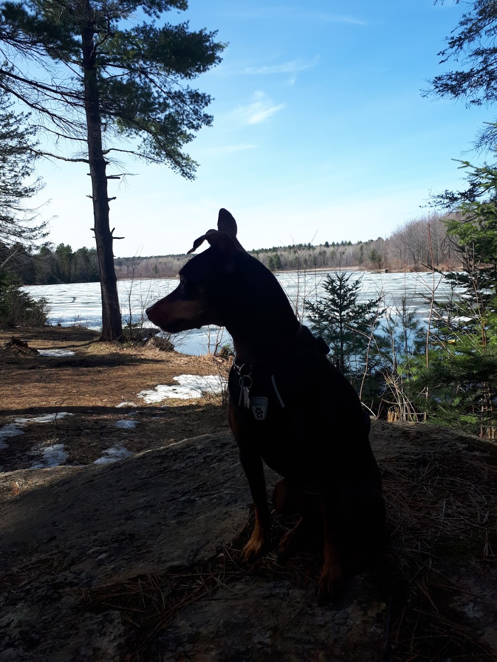 Lac Jérôme Natural Park | Saint-Jérôme, QC J7Y 5H4, Canada