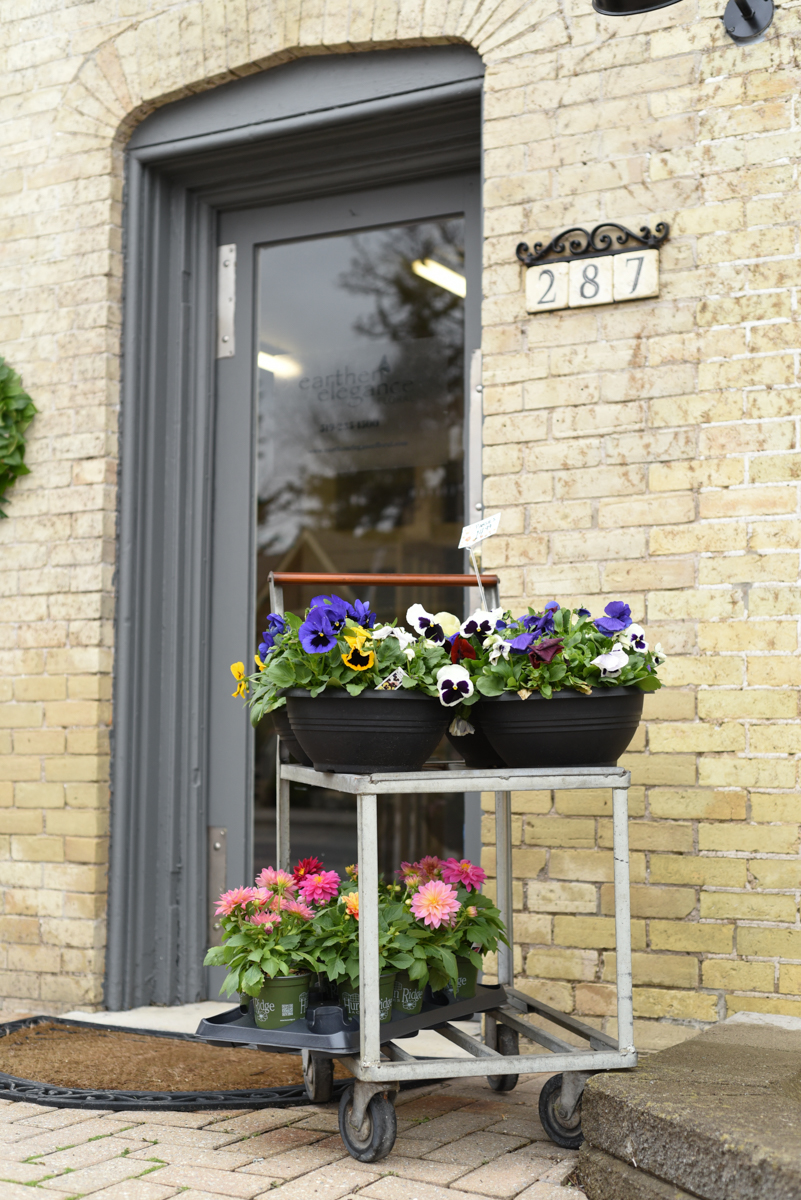 Earthen Elegance Floral | 287 Main St S, Exeter, ON N0M 1S1, Canada | Phone: (519) 235-1500