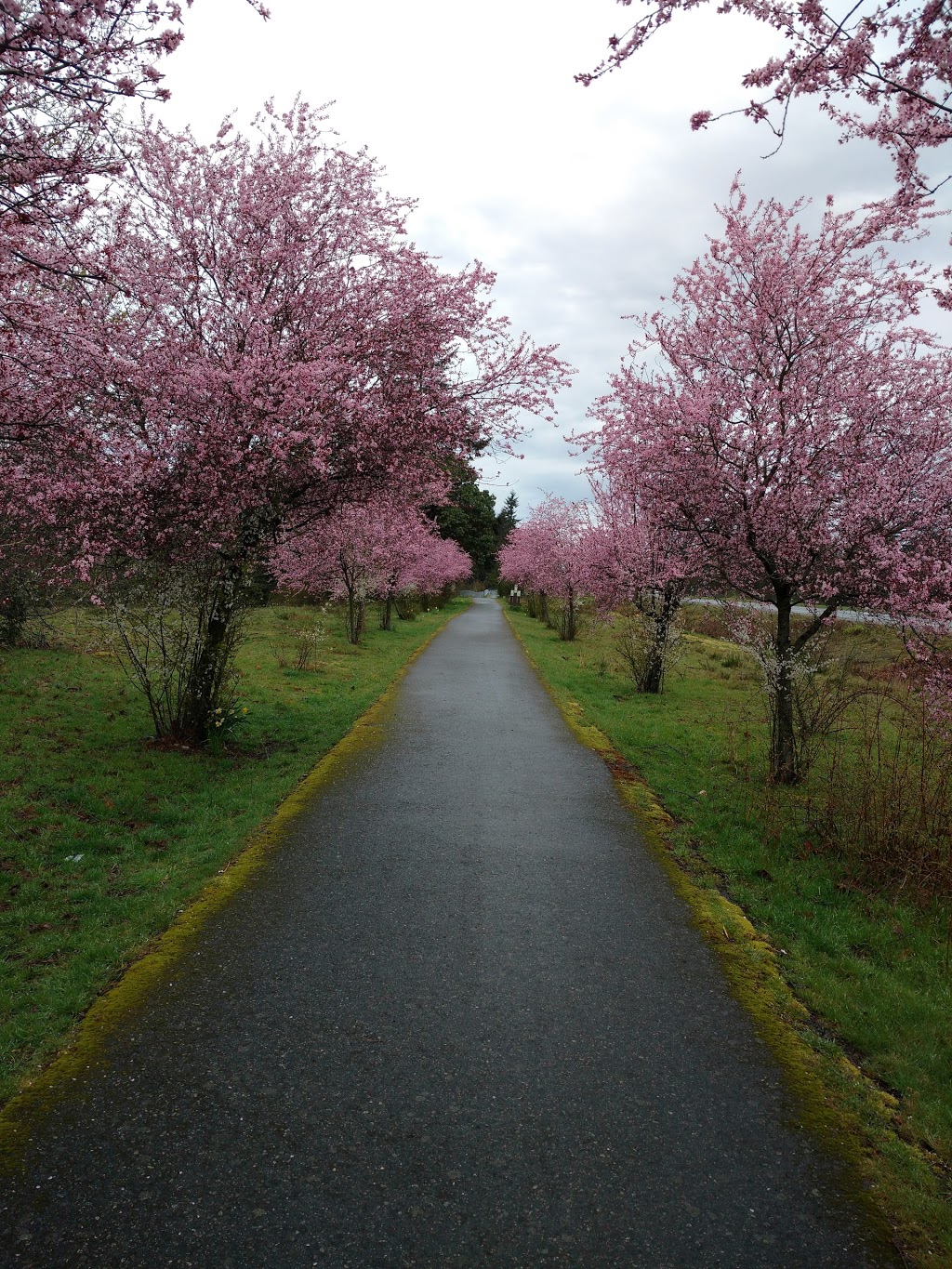 Tourism Nanaimo Visitor Centre | 2450 Northfield Rd, Nanaimo, BC V9S 0B2, Canada | Phone: (800) 663-7337