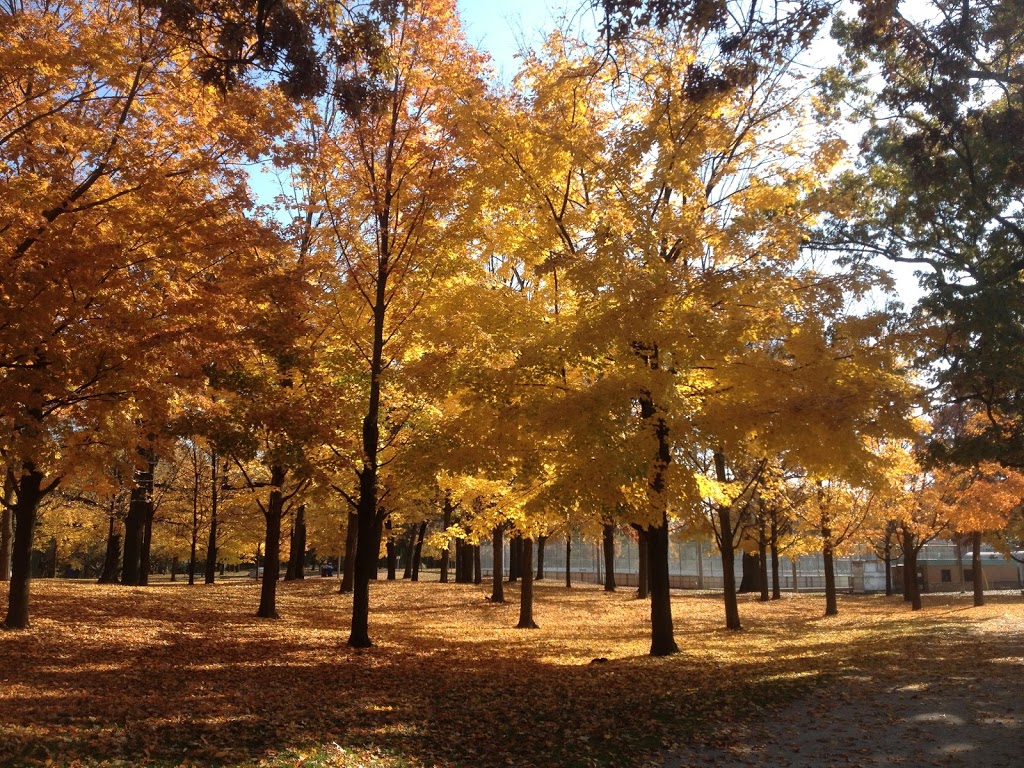 High Park Wading Pool, Splashpad and Playground | 8 Wendigo Way, Toronto, ON M6S 2T9, Canada | Phone: (416) 338-4386