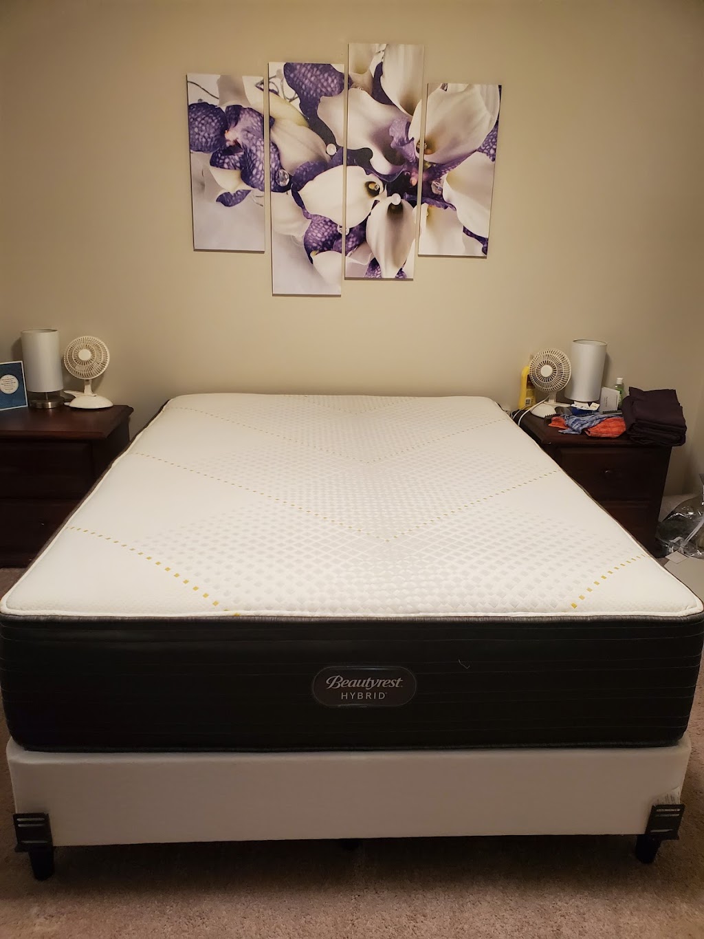 Mr. Liquidator Mattress wholesale/retail | 44703 Yale Rd #101, Chilliwack, BC V2R 4H3, Canada | Phone: (604) 392-6099