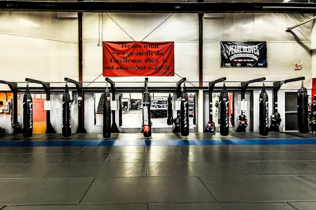 Evolve MMA & Fitness Centre | 325 Welland Ave Unit 30, St. Catharines, ON L2R 2R2, Canada | Phone: (905) 397-2925