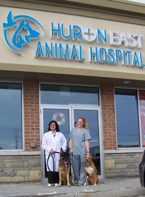 Huron East Animal Hospital | 1606 Battler Rd d, Kitchener, ON N2R 0C9, Canada | Phone: (519) 895-8883