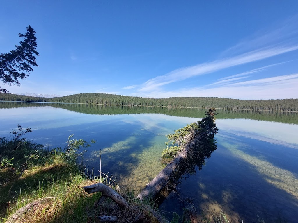 Fish Lake Campground | Range Rd 155 Rd, Clearwater County, AB T0M 2H0, Canada | Phone: (855) 721-3975